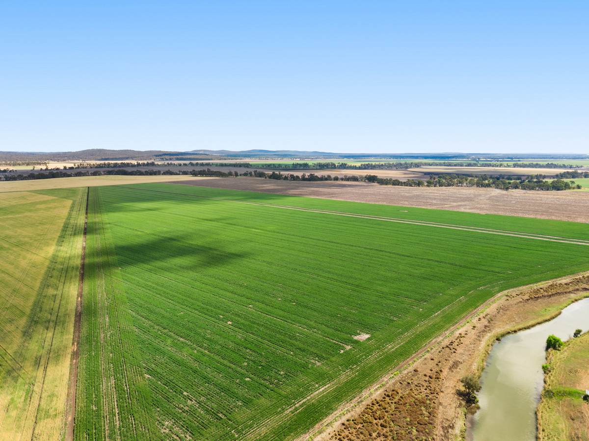 1635 Clifton Leyburn Road, Ellangowan For Sale by Farmbuy.com - image 9