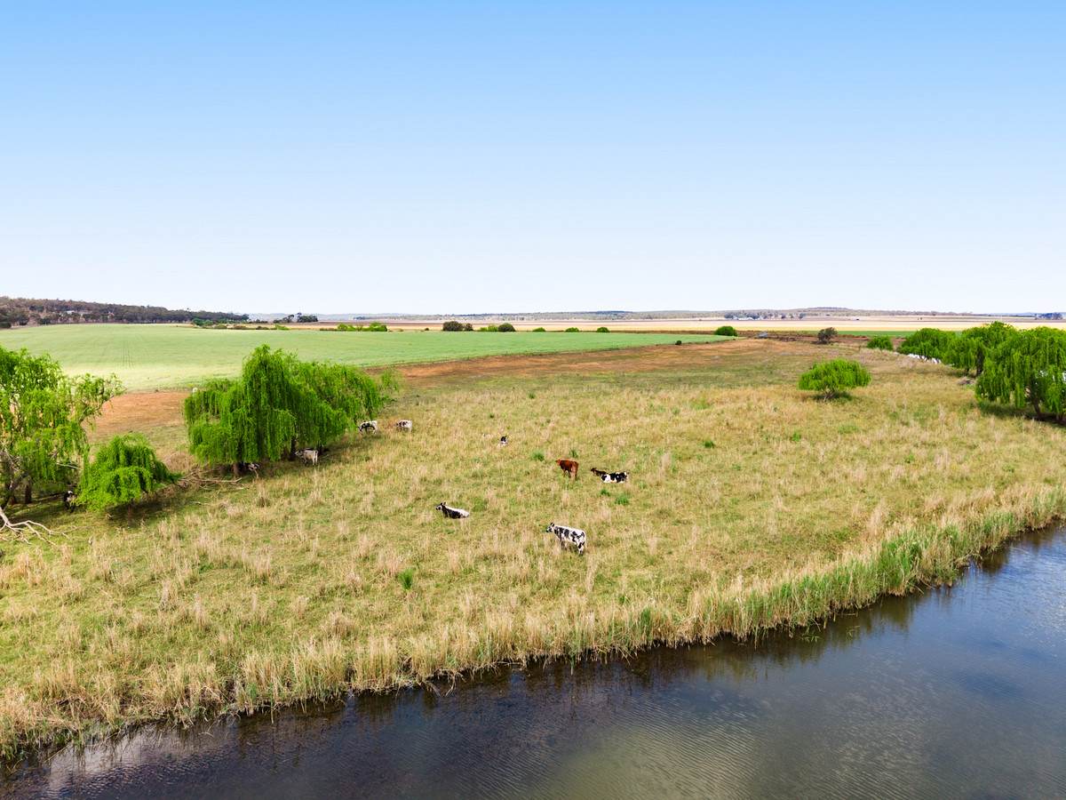 1635 Clifton Leyburn Road, Ellangowan For Sale by Farmbuy.com - image 28