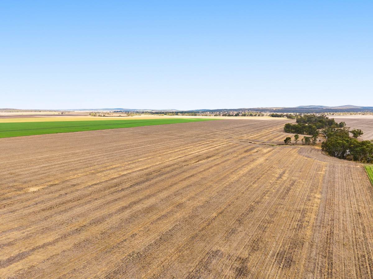 1635 Clifton Leyburn Road, Ellangowan For Sale by Farmbuy.com - image 8