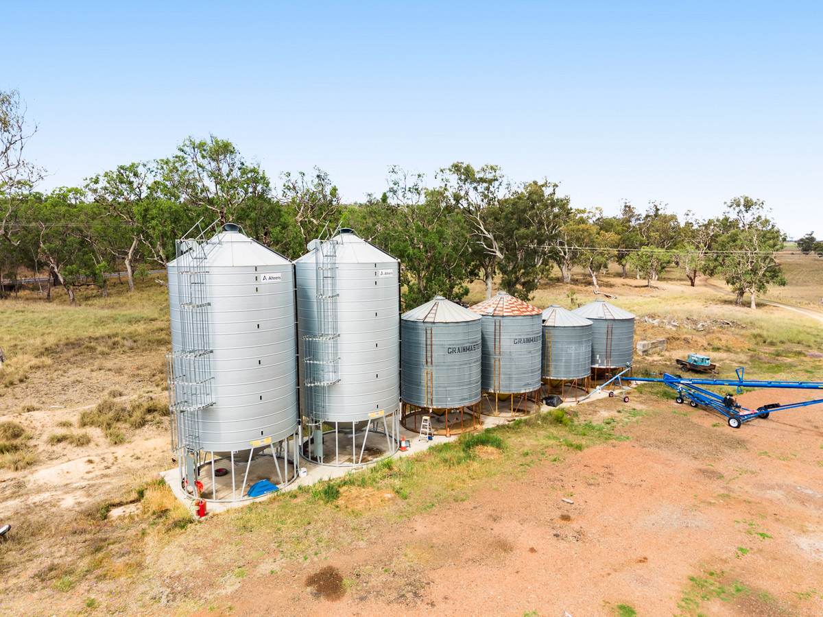 1635 Clifton Leyburn Road, Ellangowan For Sale by Farmbuy.com - image 26