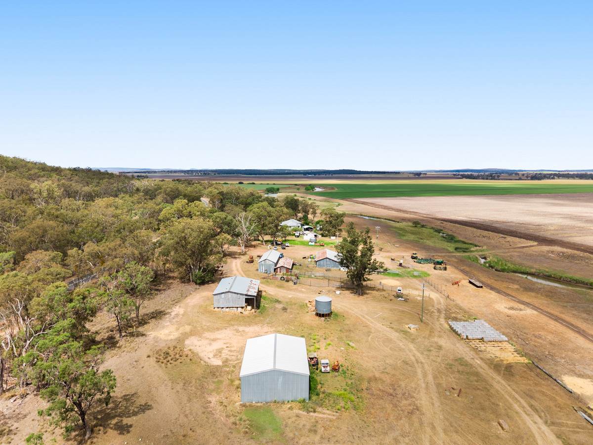 1635 Clifton Leyburn Road, Ellangowan For Sale by Farmbuy.com - image 25