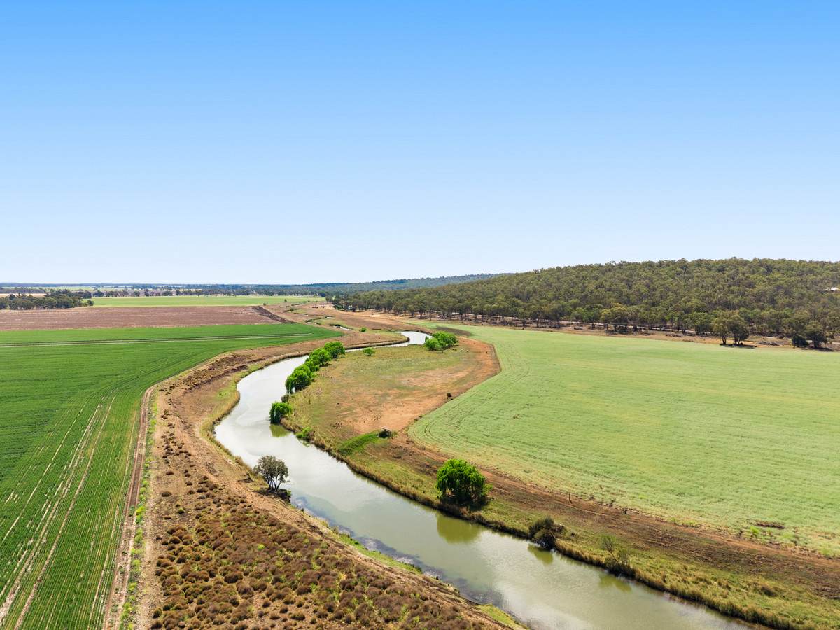 1635 Clifton Leyburn Road, Ellangowan For Sale by Farmbuy.com - image 10