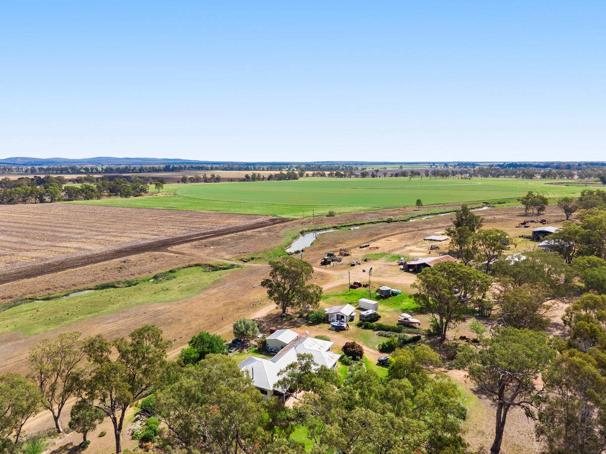 1635 Clifton Leyburn Road, Ellangowan For Sale by Farmbuy.com - image 32