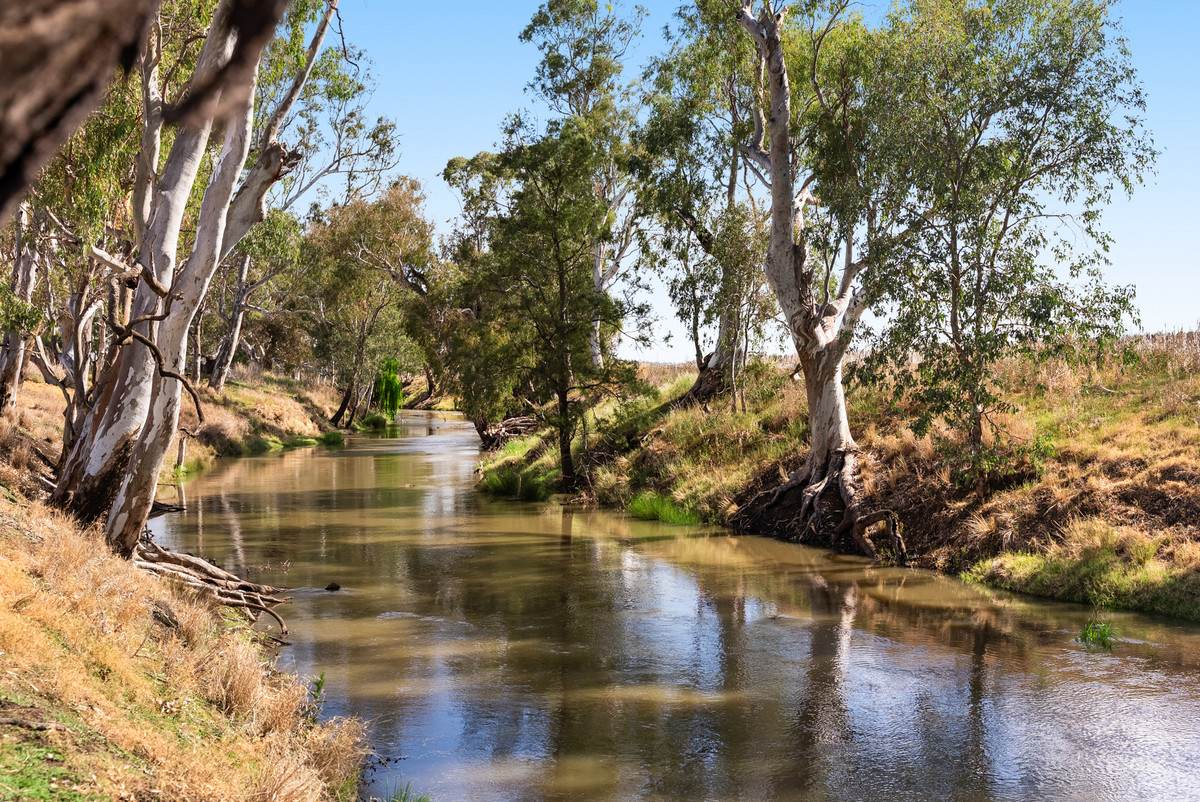 1635 Clifton Leyburn Road, Ellangowan For Sale by Farmbuy.com - image 34