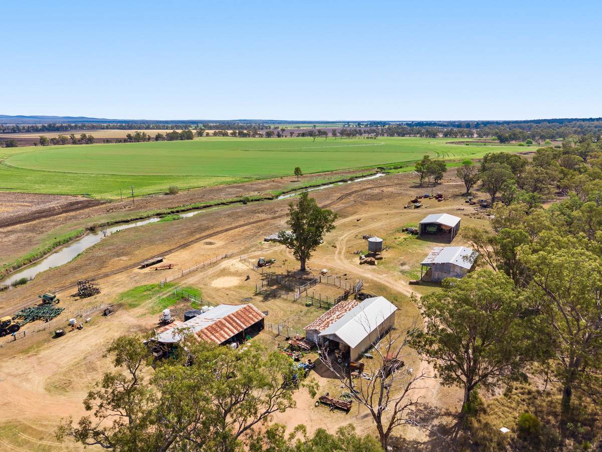 1635 Clifton Leyburn Road, Ellangowan For Sale by Farmbuy.com - image 21