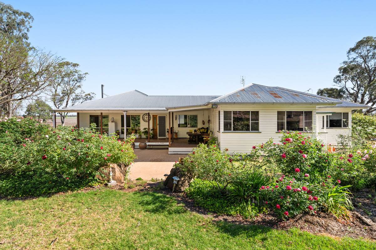 1635 Clifton Leyburn Road, Ellangowan For Sale by Farmbuy.com - image 12