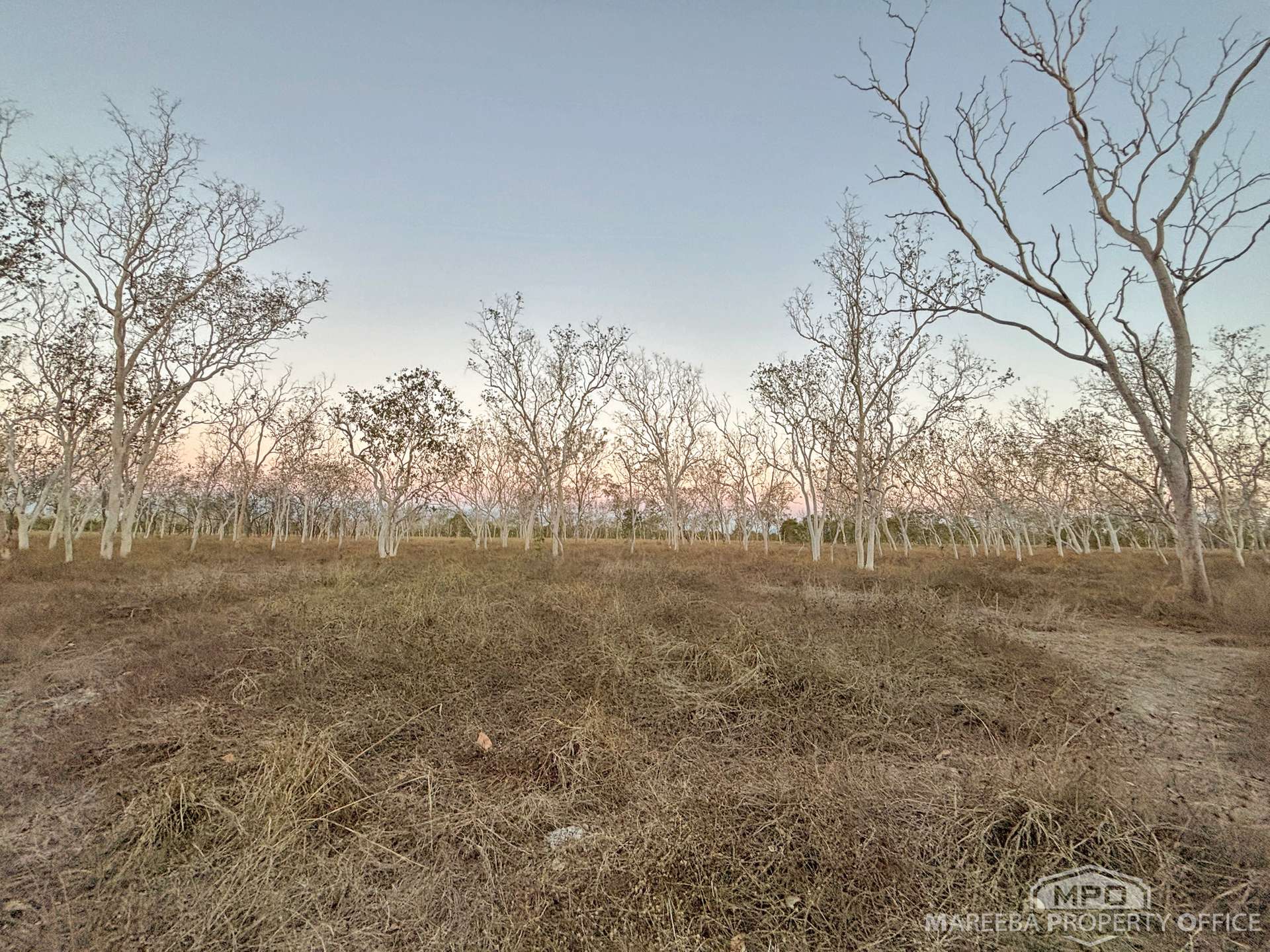 99 Coyle Road, Biboohra For Sale by Farmbuy.com - image 29