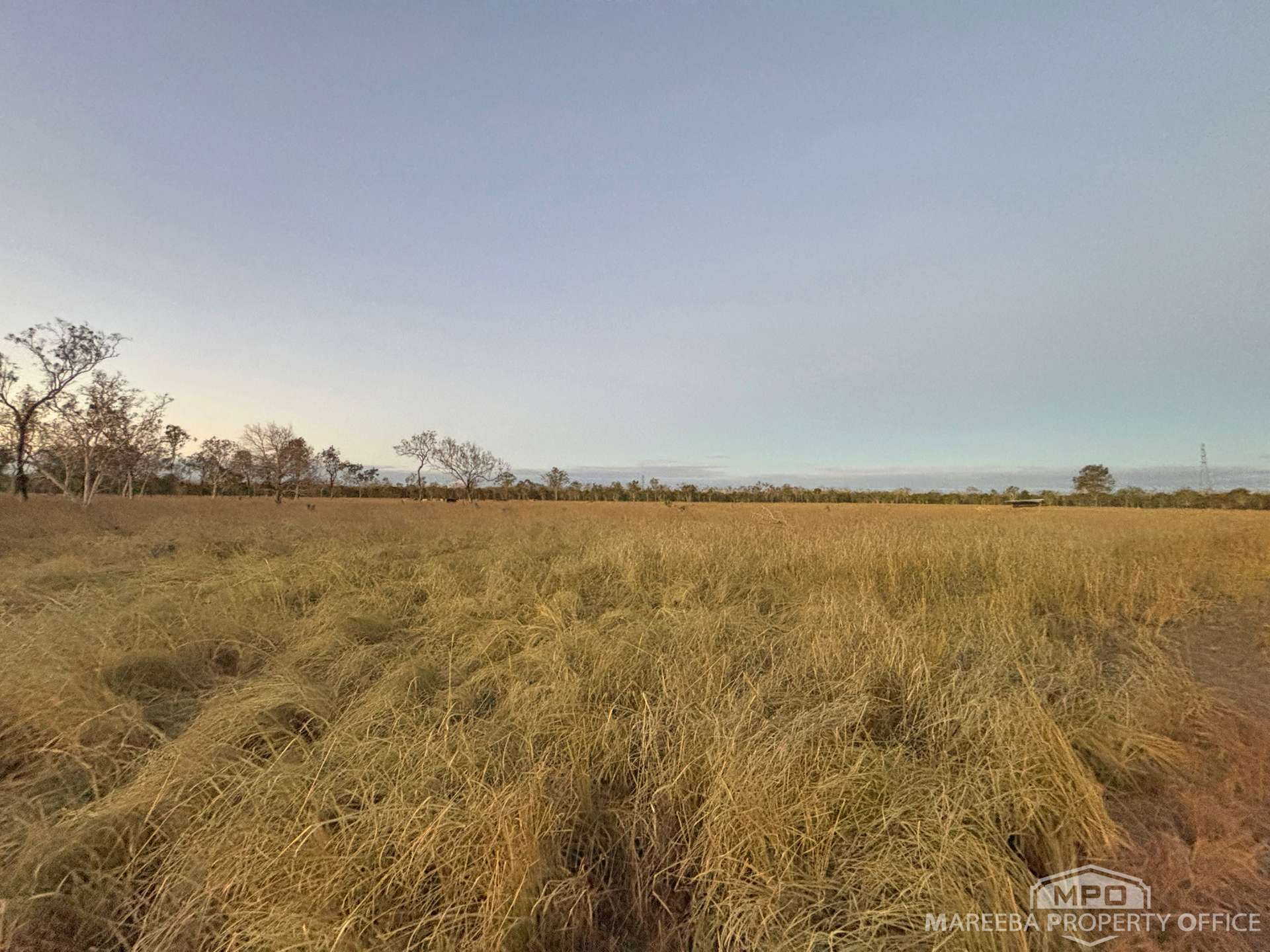 99 Coyle Road, Biboohra For Sale by Farmbuy.com - image 10