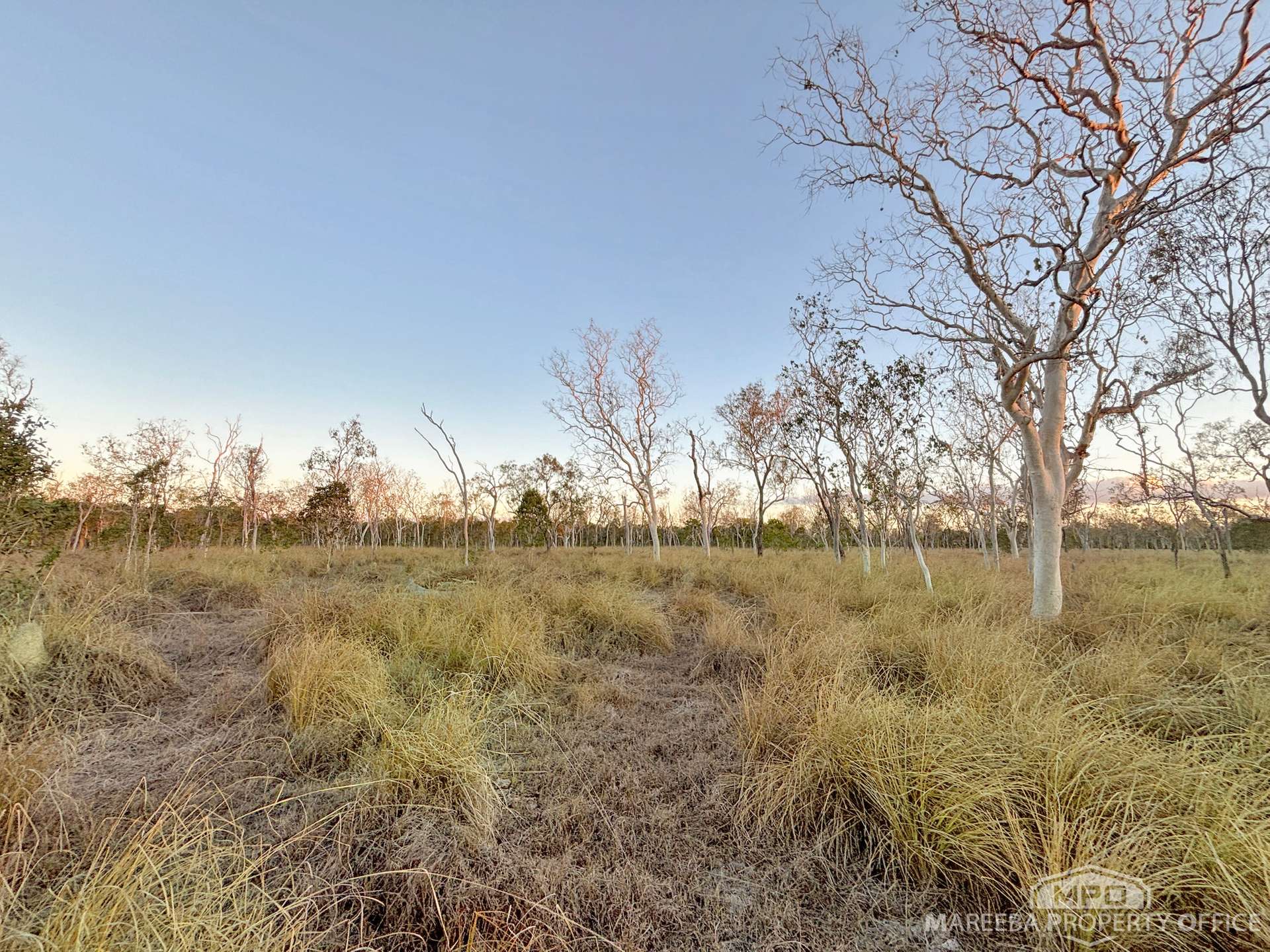 99 Coyle Road, Biboohra For Sale by Farmbuy.com - image 27