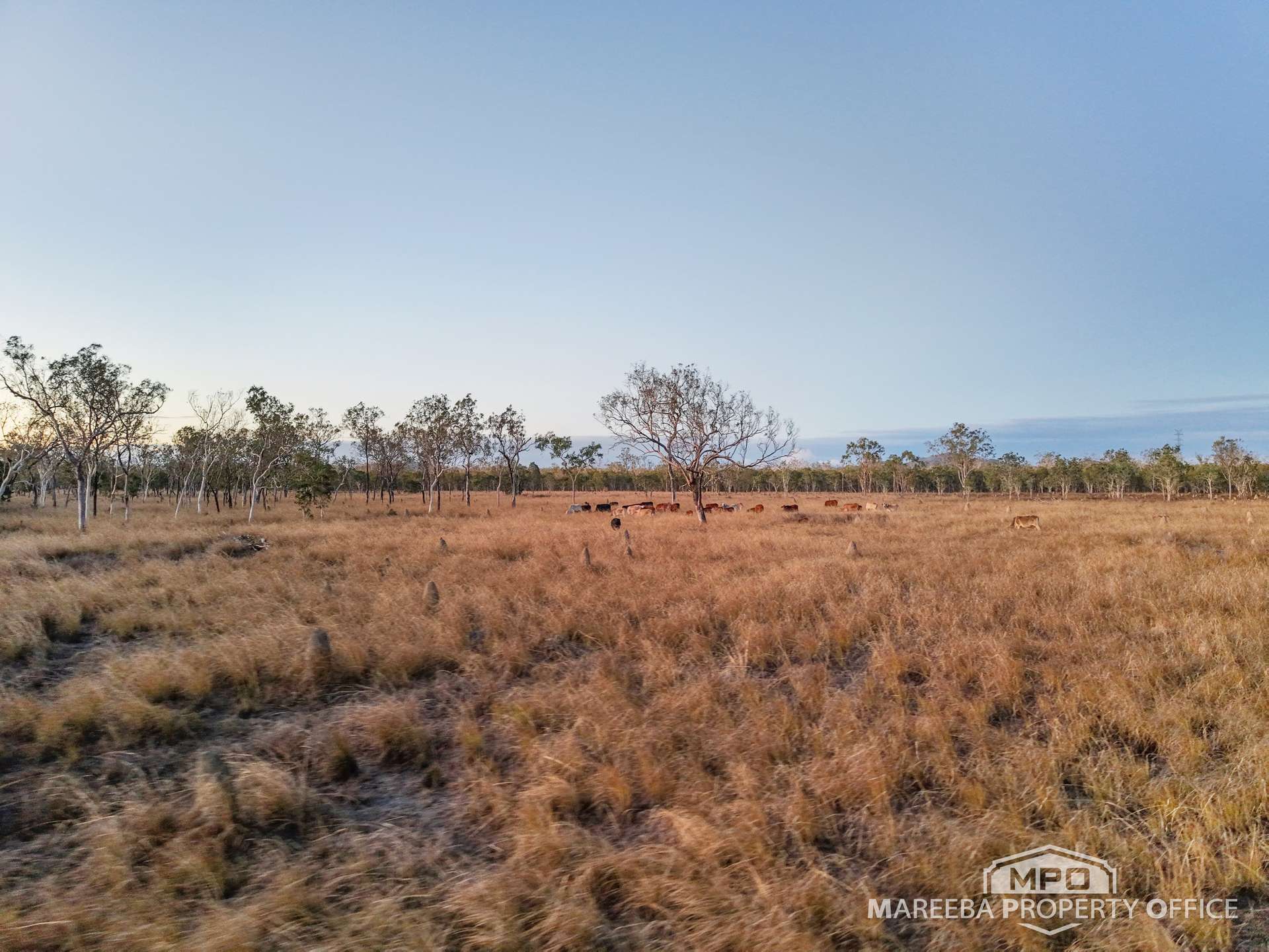 99 Coyle Road, Biboohra For Sale by Farmbuy.com - image 20