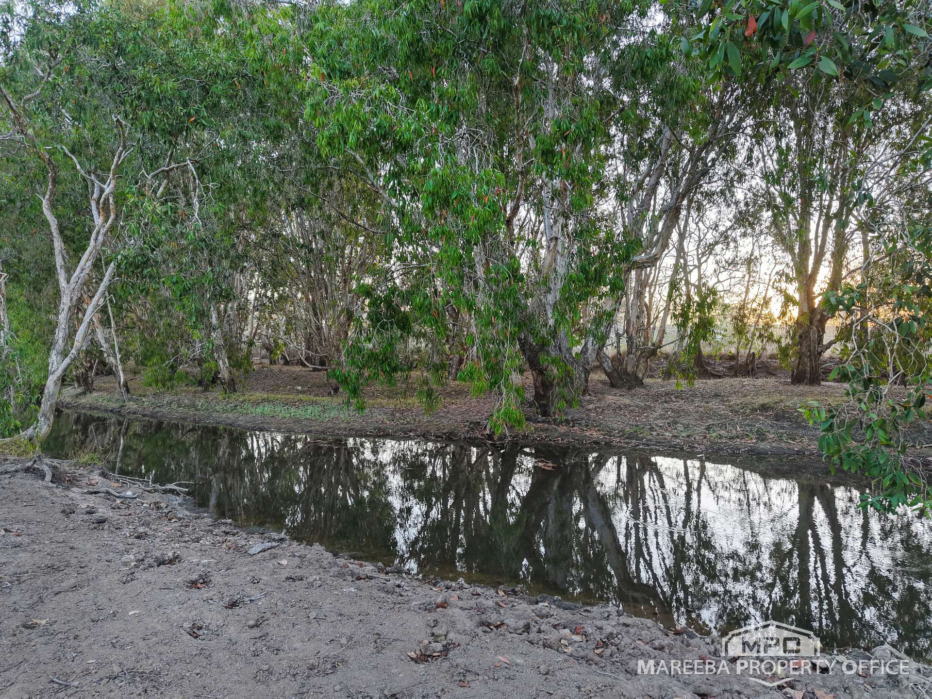 99 Coyle Road, Biboohra For Sale by Farmbuy.com - image 17