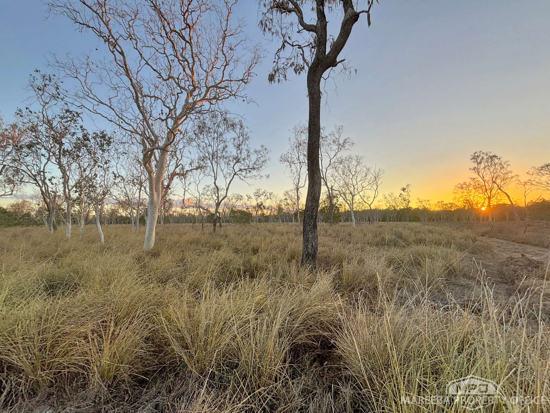 99 Coyle Road, Biboohra For Sale by Farmbuy.com - image 6