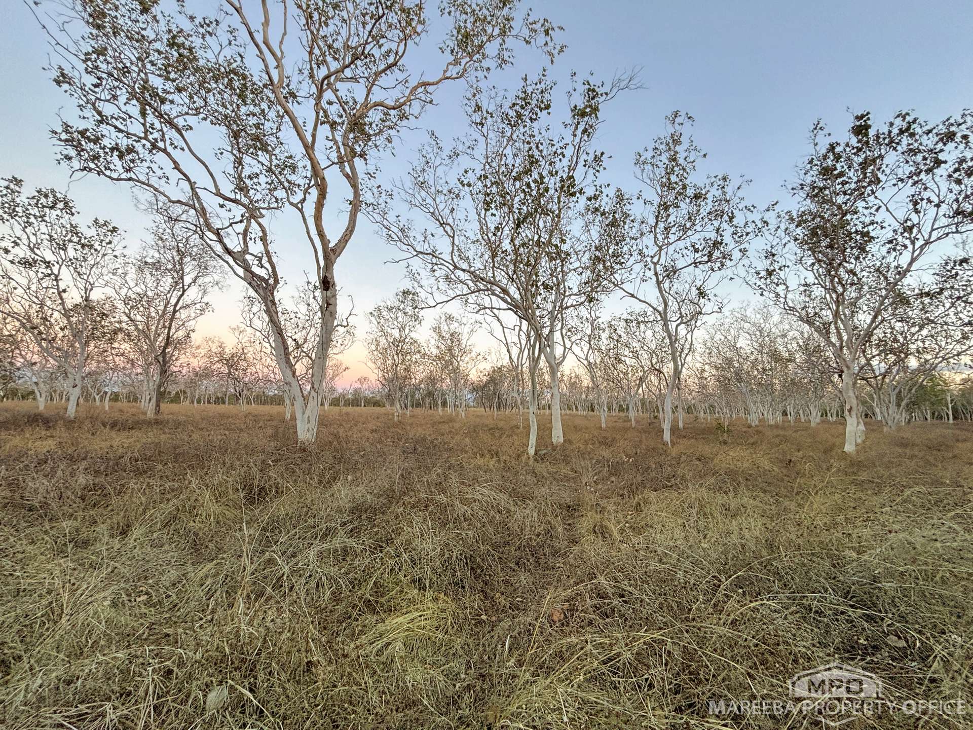 99 Coyle Road, Biboohra For Sale by Farmbuy.com - image 5