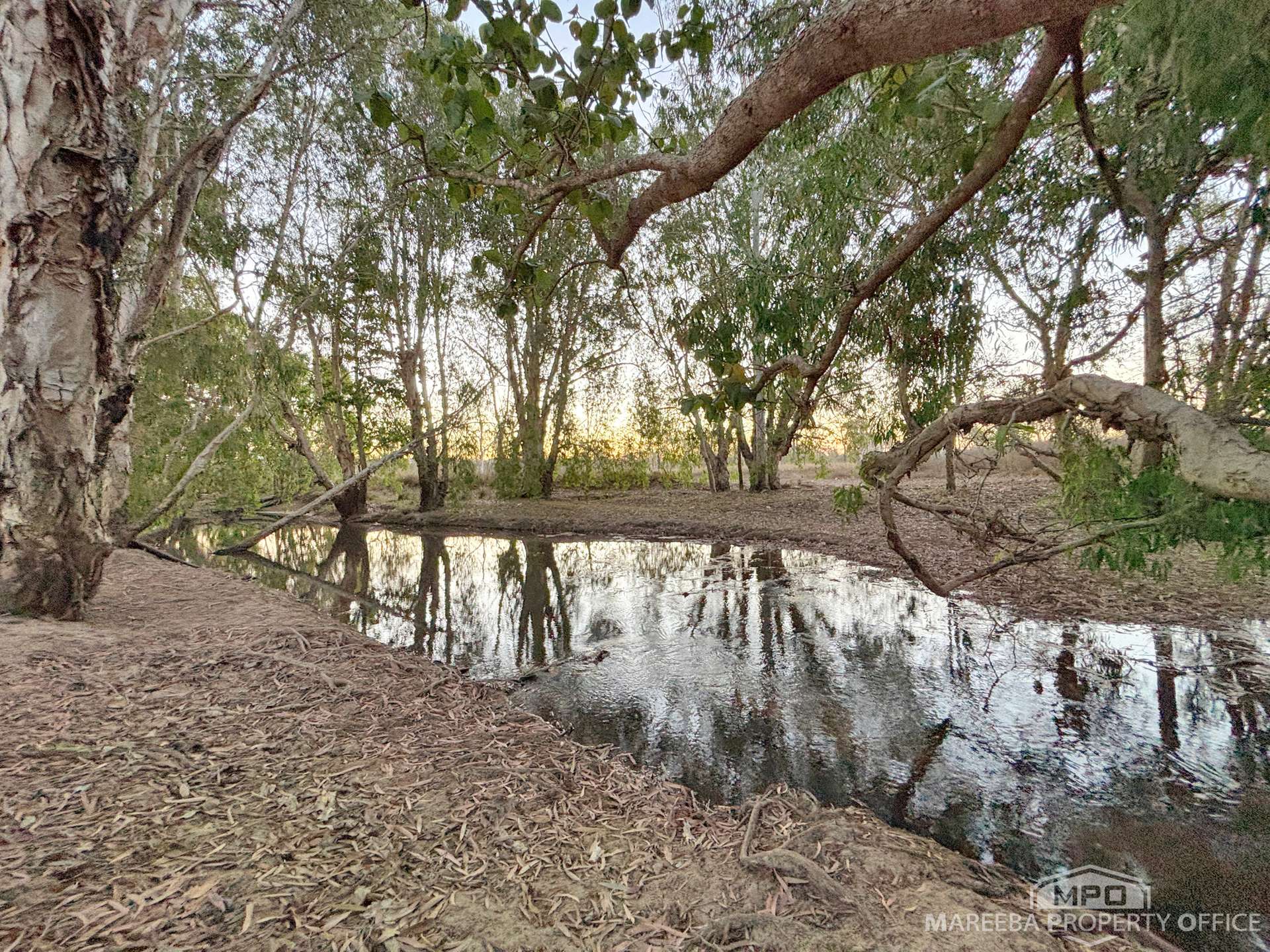 99 Coyle Road, Biboohra For Sale by Farmbuy.com - image 9