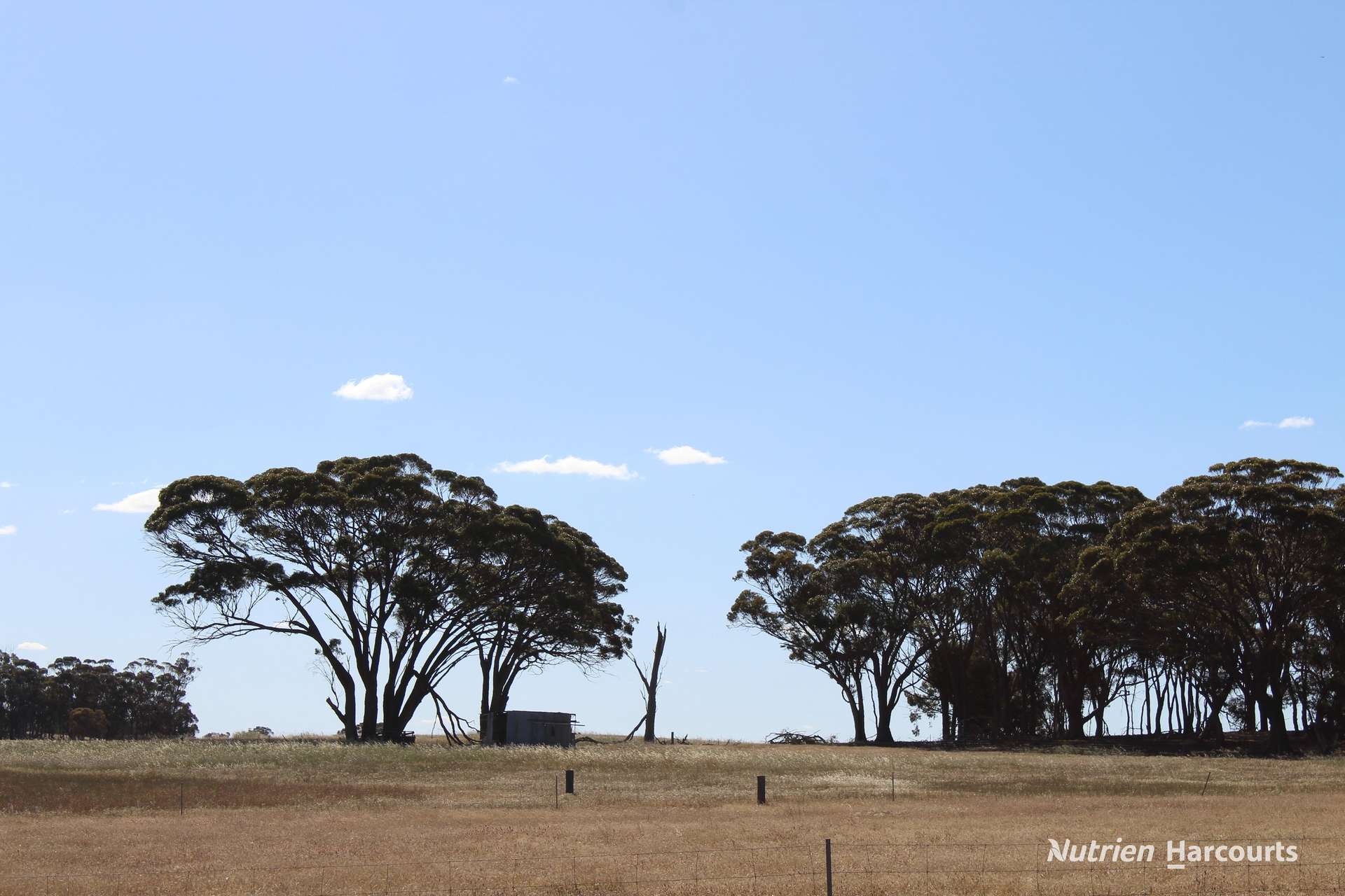 20226 Great Southern Highway, Highbury For Sale by Farmbuy.com - image 10