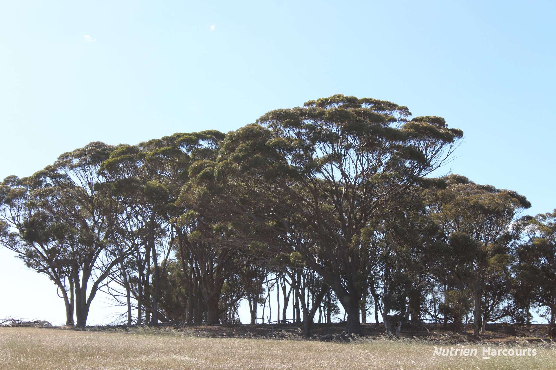 20226 Great Southern Highway, Highbury For Sale by Farmbuy.com - image 24