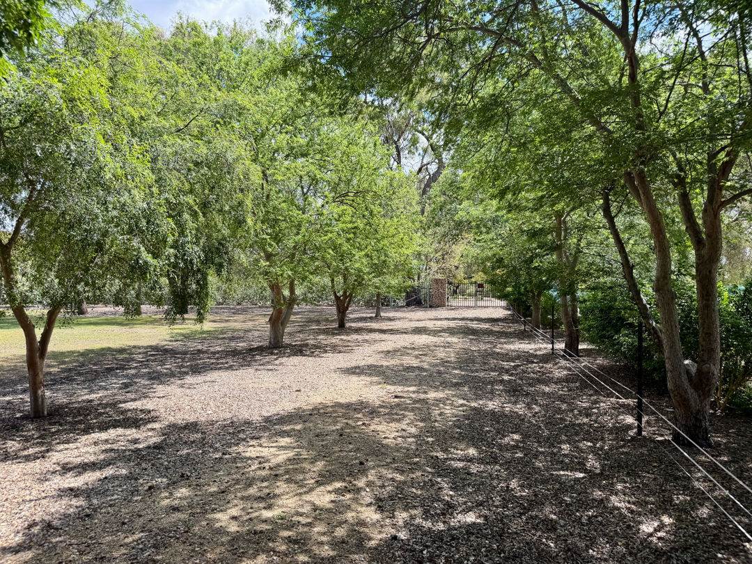 39 Bendygleet Road, Moree Auction by Farmbuy.com - image 21