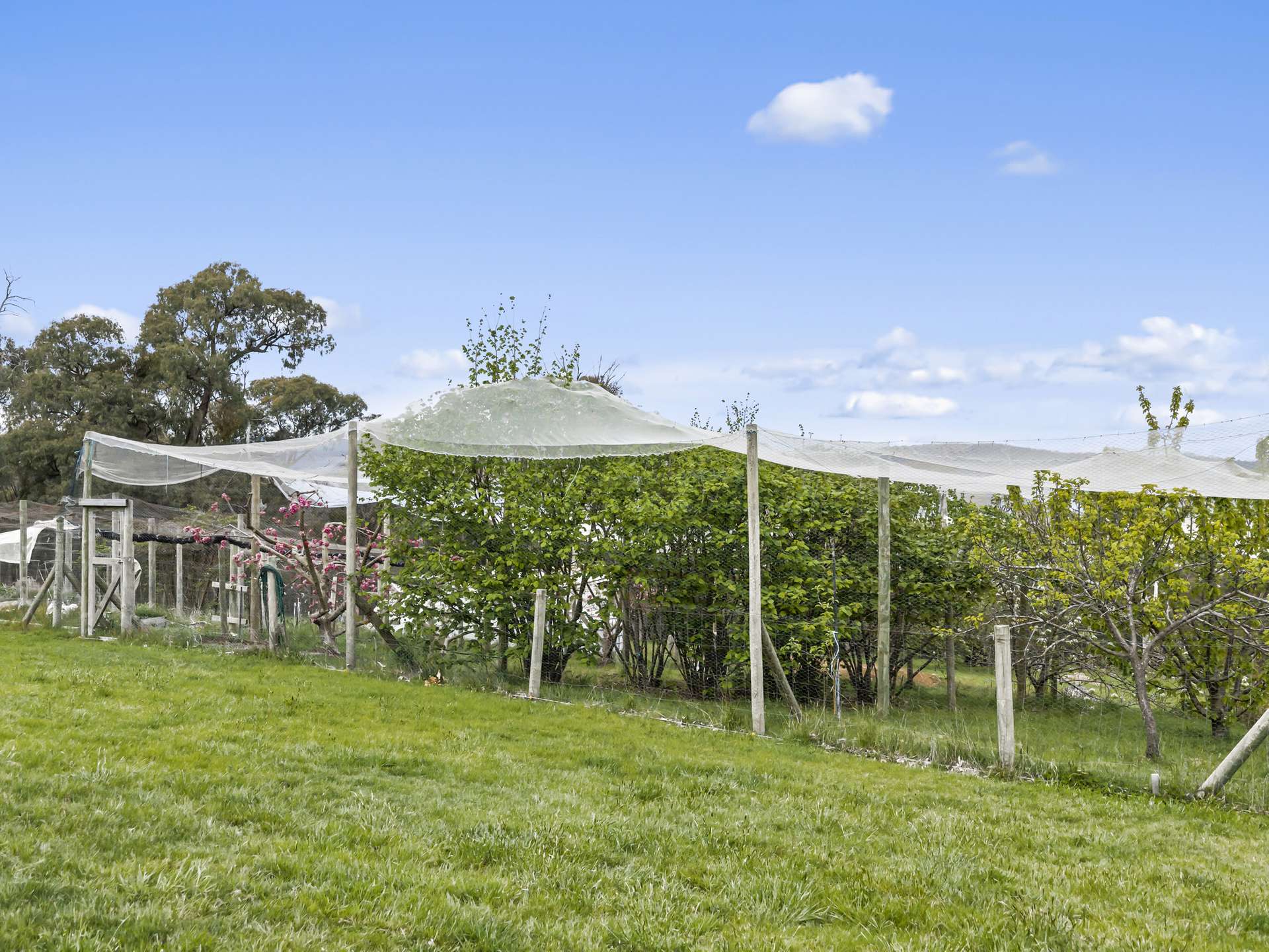 36 Bushland Close, Tolmie For Sale by Farmbuy.com - image 23