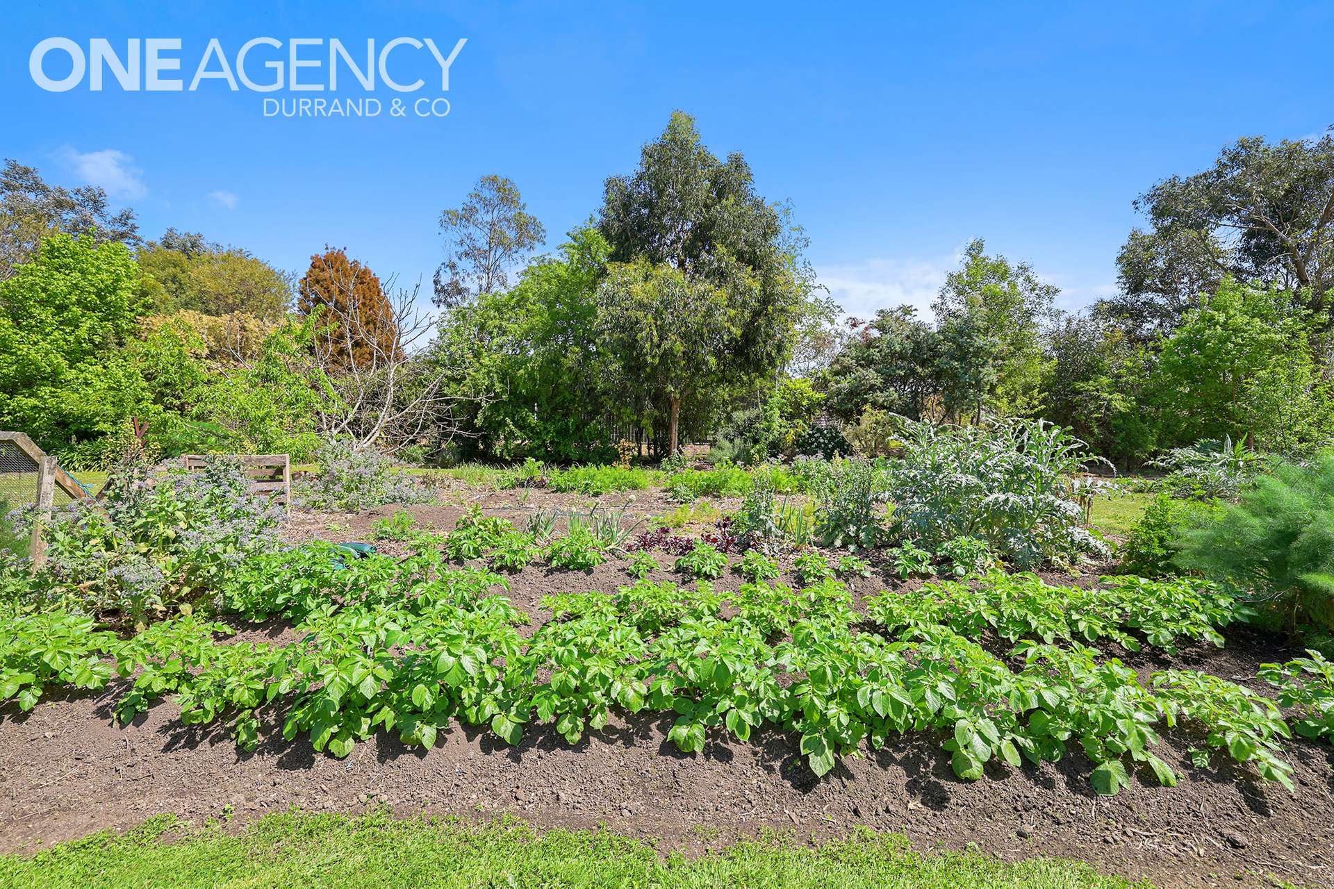 60 Streitbergs Road, Darnum For Sale by Farmbuy.com - image 33