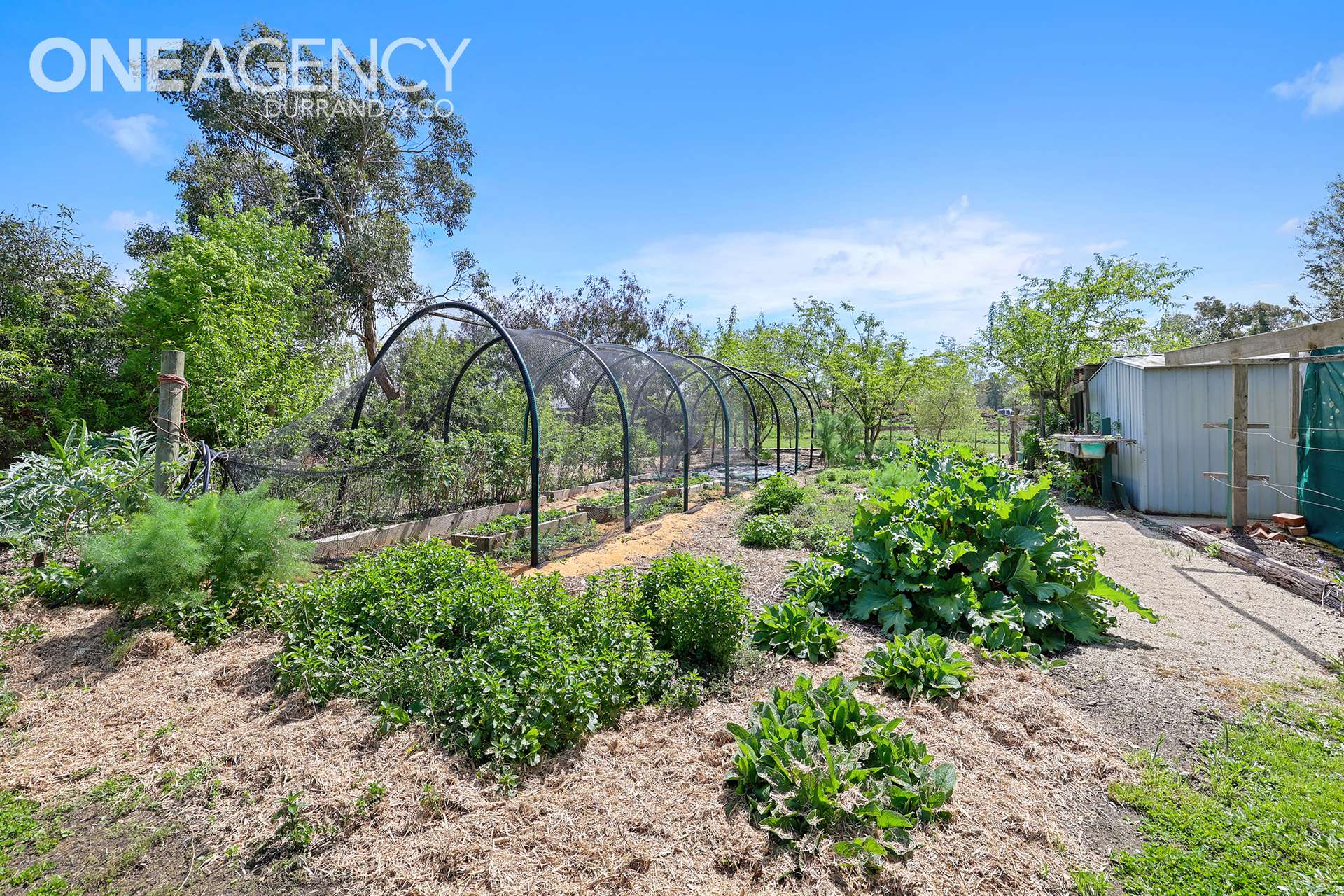 60 Streitbergs Road, Darnum For Sale by Farmbuy.com - image 34
