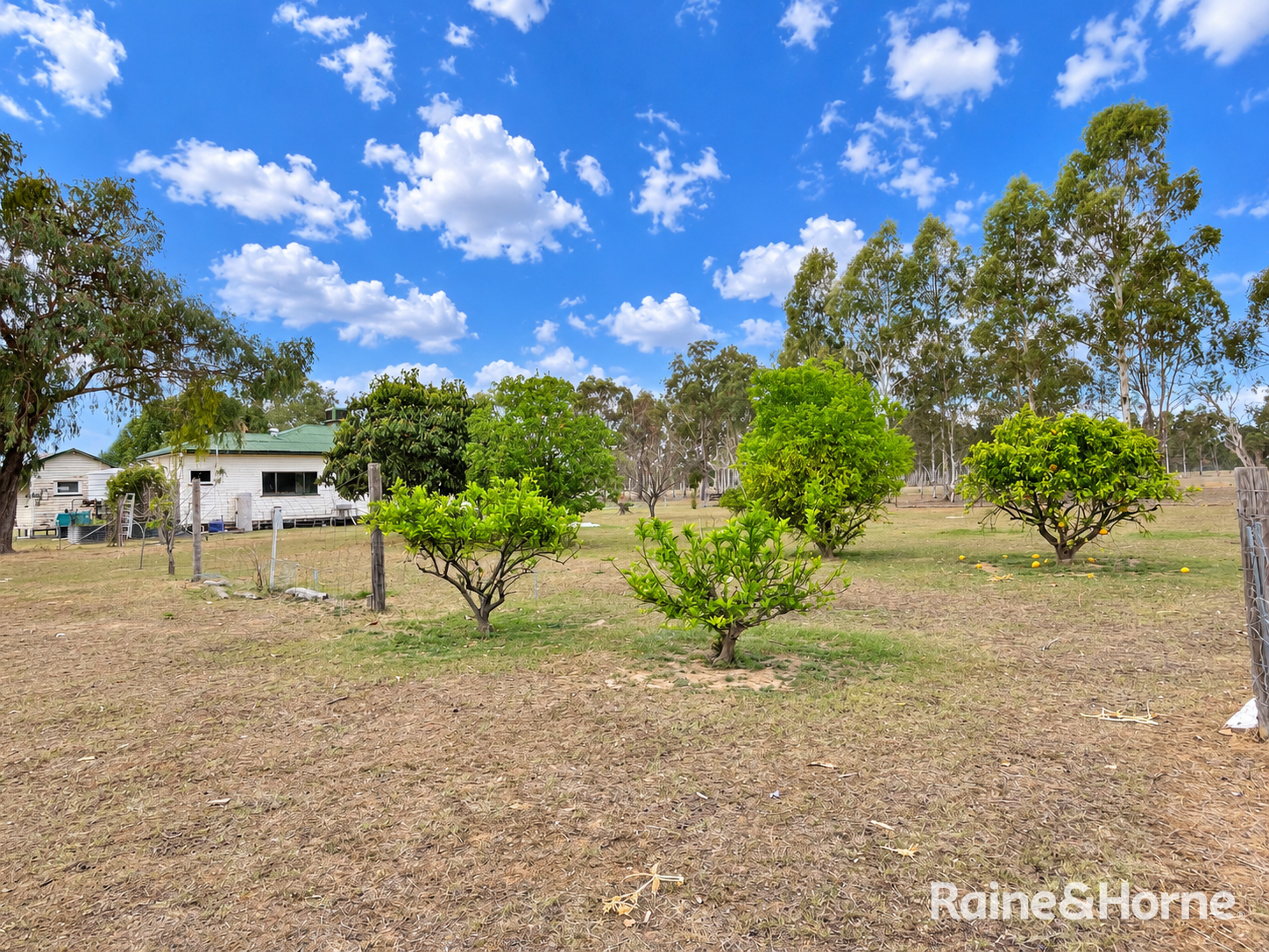 3550 Inglewood Texas Road, Limevale For Sale by Farmbuy.com - image 21