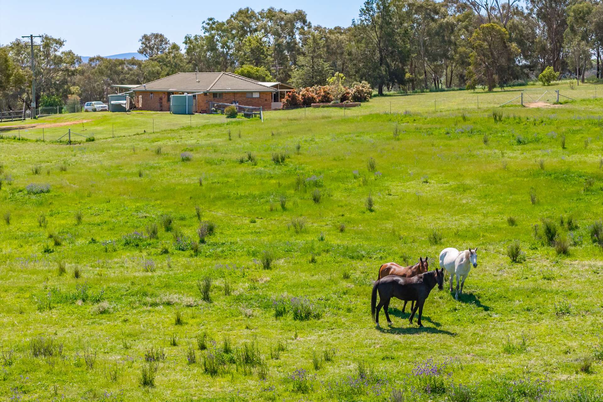 2321 George Russell Drive, Canowindra For Sale by Farmbuy.com - image 24