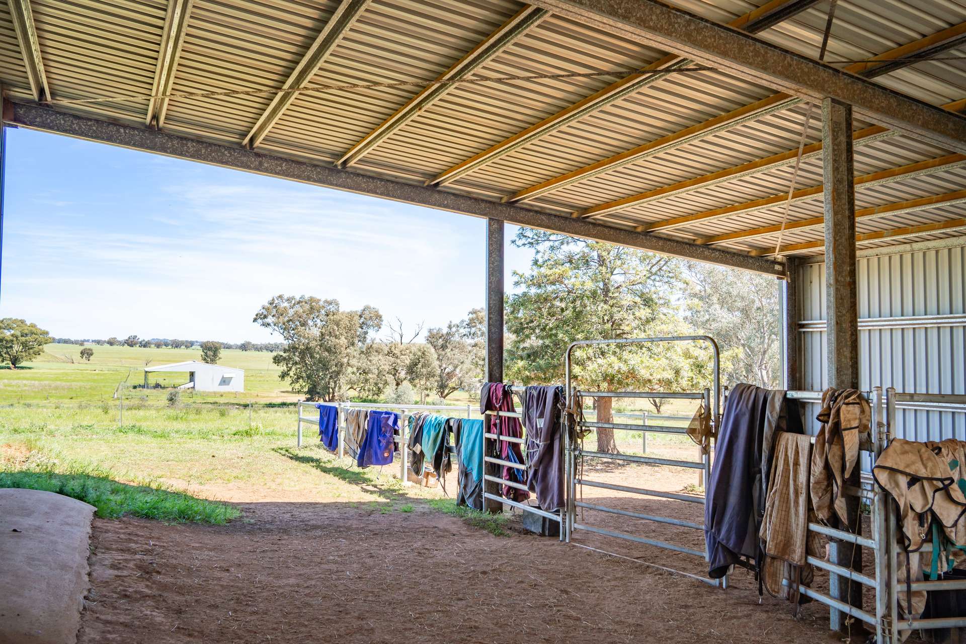 2321 George Russell Drive, Canowindra For Sale by Farmbuy.com - image 29