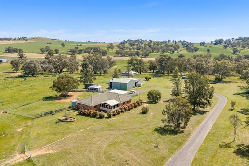 Farm For Sale - NSW - Canowindra - 2804 - GREAT HOME – BIG SHED – 12.47 ACRES 