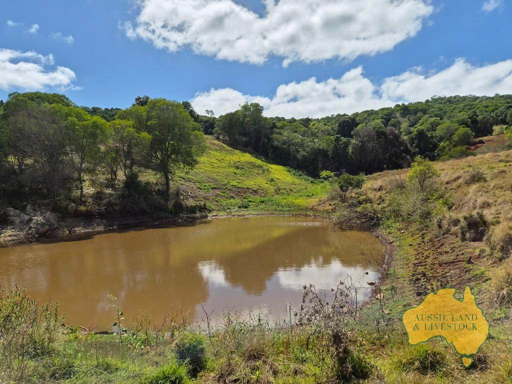759 Boat Mountain Road, Tablelands For Sale by Farmbuy.com - image 5