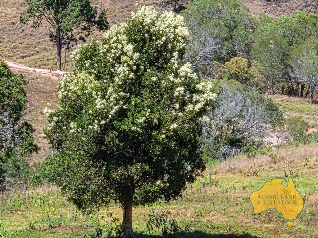 759 Boat Mountain Road, Tablelands For Sale by Farmbuy.com - image 9