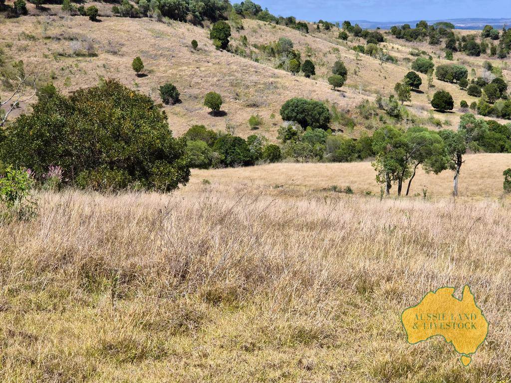 759 Boat Mountain Road, Tablelands For Sale by Farmbuy.com - image 3
