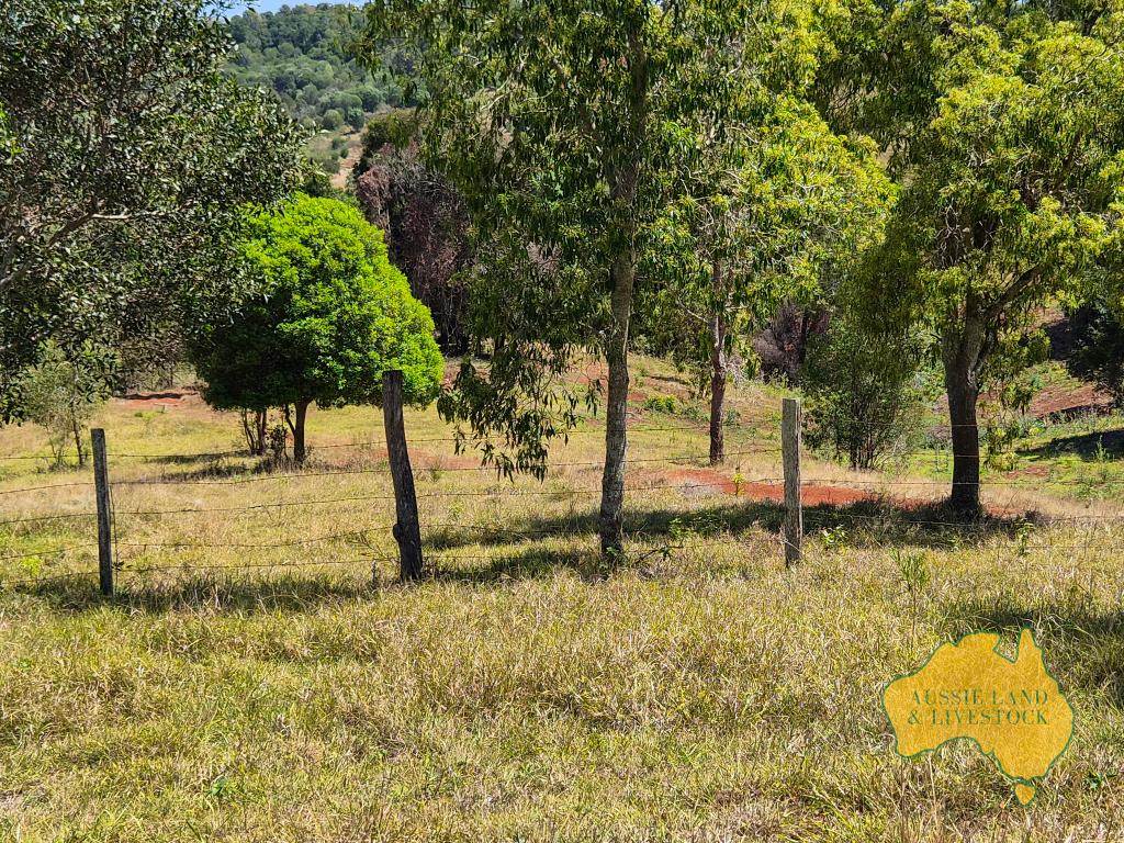 759 Boat Mountain Road, Tablelands For Sale by Farmbuy.com - image 6