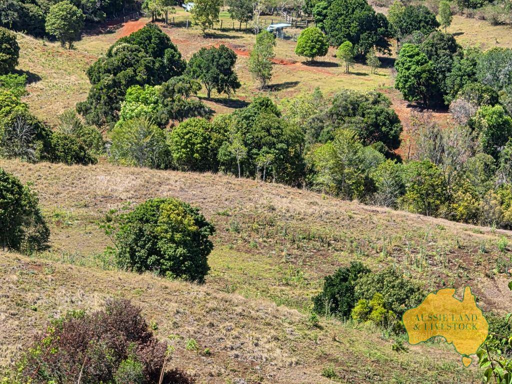 759 Boat Mountain Road, Tablelands For Sale by Farmbuy.com - image 8