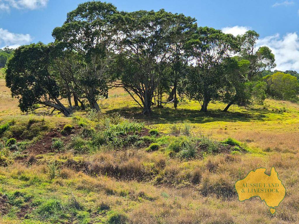 759 Boat Mountain Road, Tablelands For Sale by Farmbuy.com - image 7