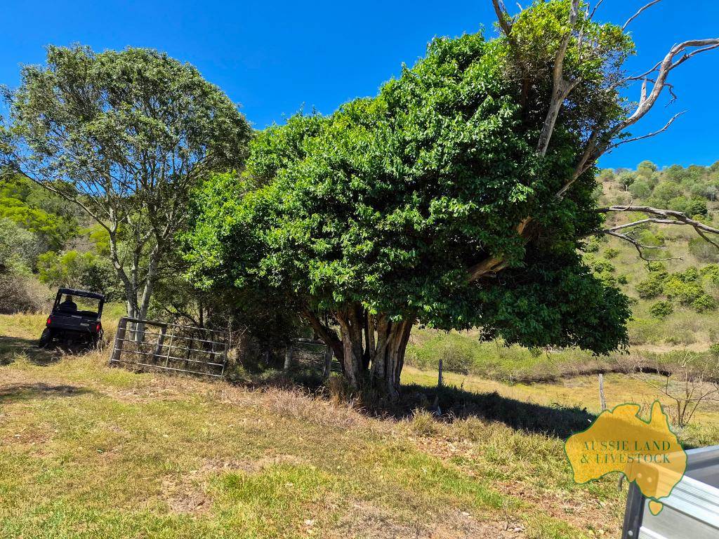 759 Boat Mountain Road, Tablelands For Sale by Farmbuy.com - image 10