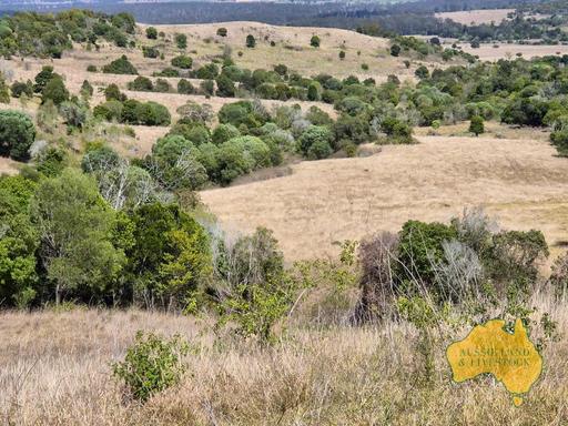 Farm For Sale - QLD - Tablelands - 4605 - FOR SALE - 39.59ha OF PRIME RED SOIL COUNTRY 