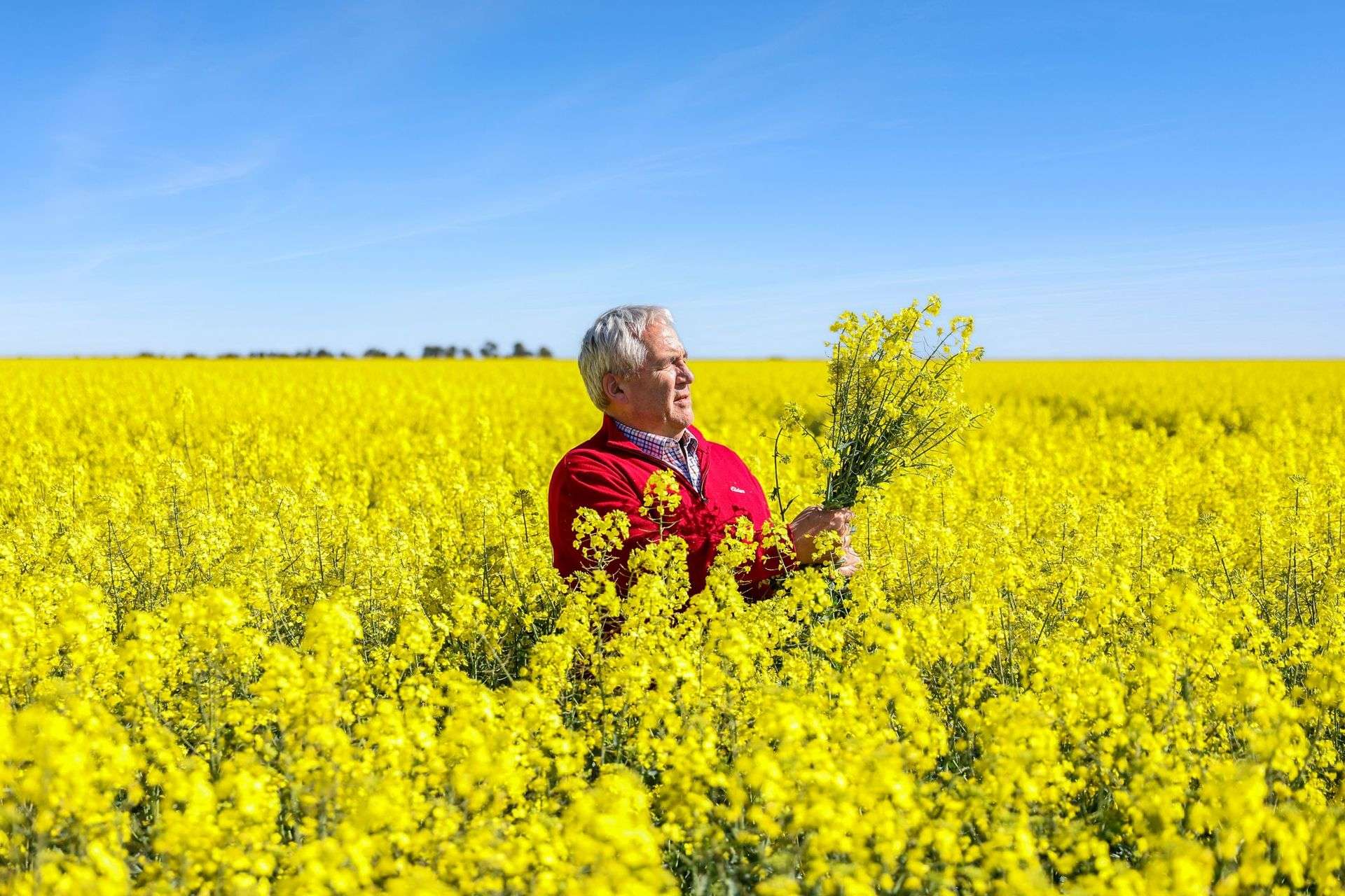 960 Inverleigh-Winchelsea Road, Inverleigh For Sale by Farmbuy.com - image 16