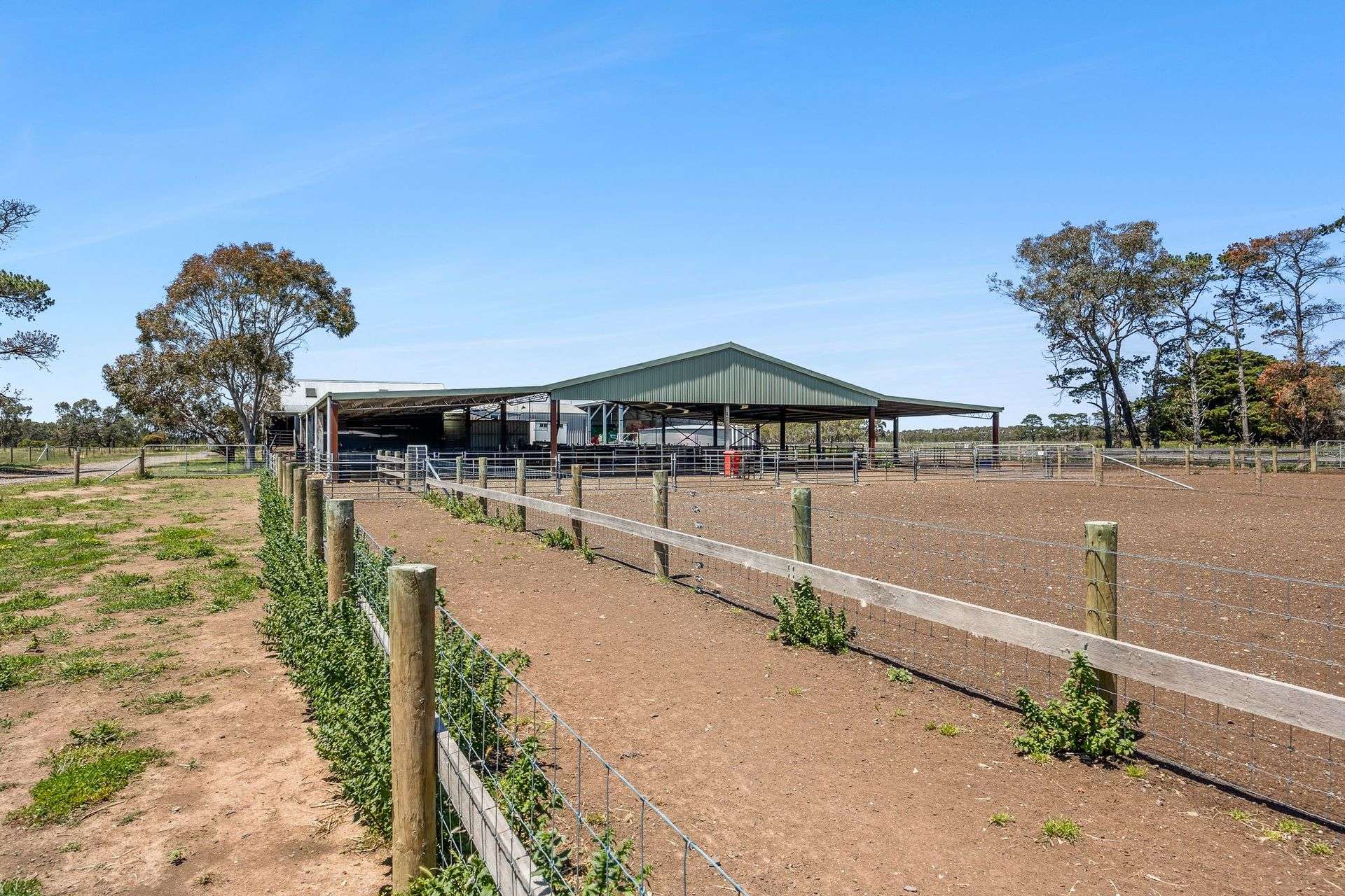 960 Inverleigh-Winchelsea Road, Inverleigh For Sale by Farmbuy.com - image 7