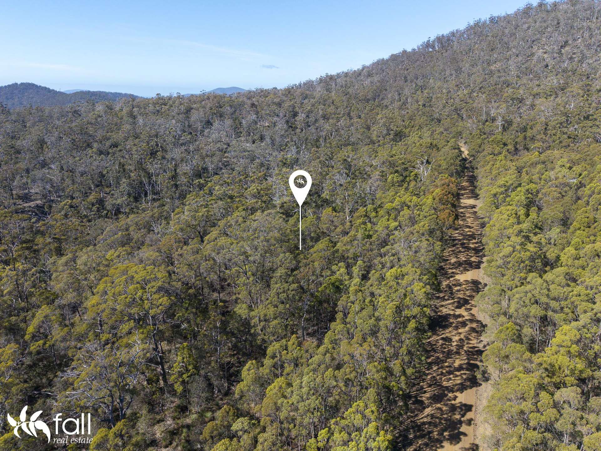 2476 Wielangta Road, Orford For Sale by Farmbuy.com - image 25