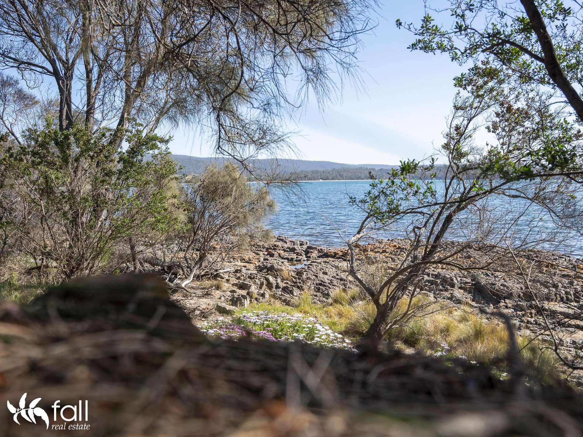 2476 Wielangta Road, Orford For Sale by Farmbuy.com - image 12