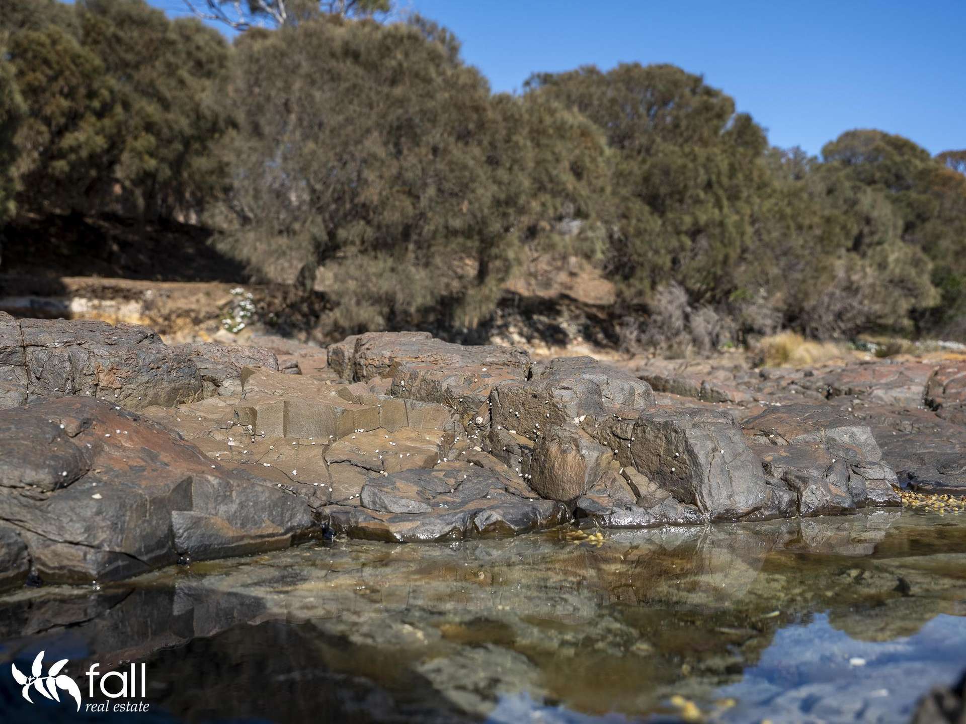2476 Wielangta Road, Orford For Sale by Farmbuy.com - image 18