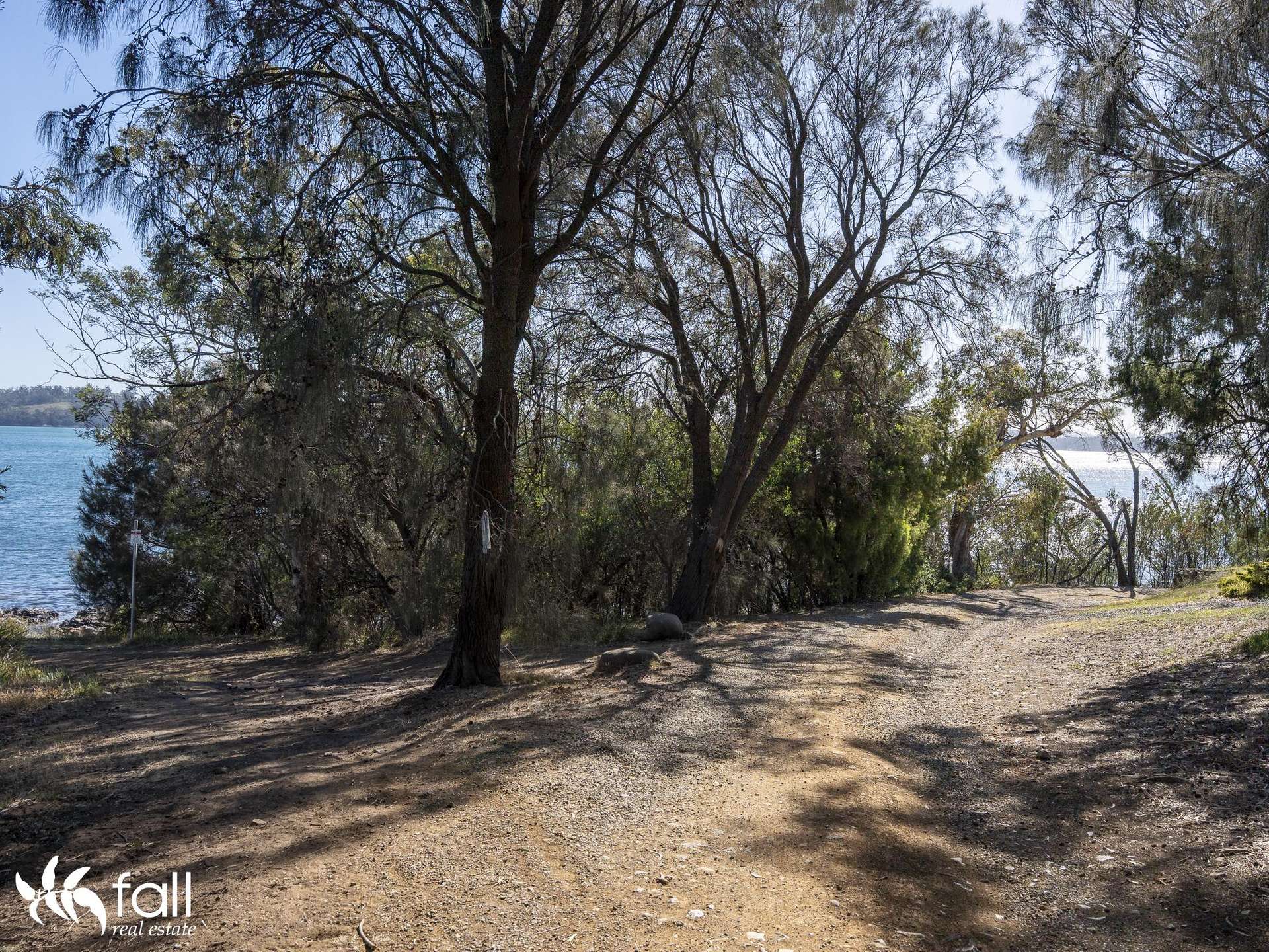 2476 Wielangta Road, Orford For Sale by Farmbuy.com - image 7