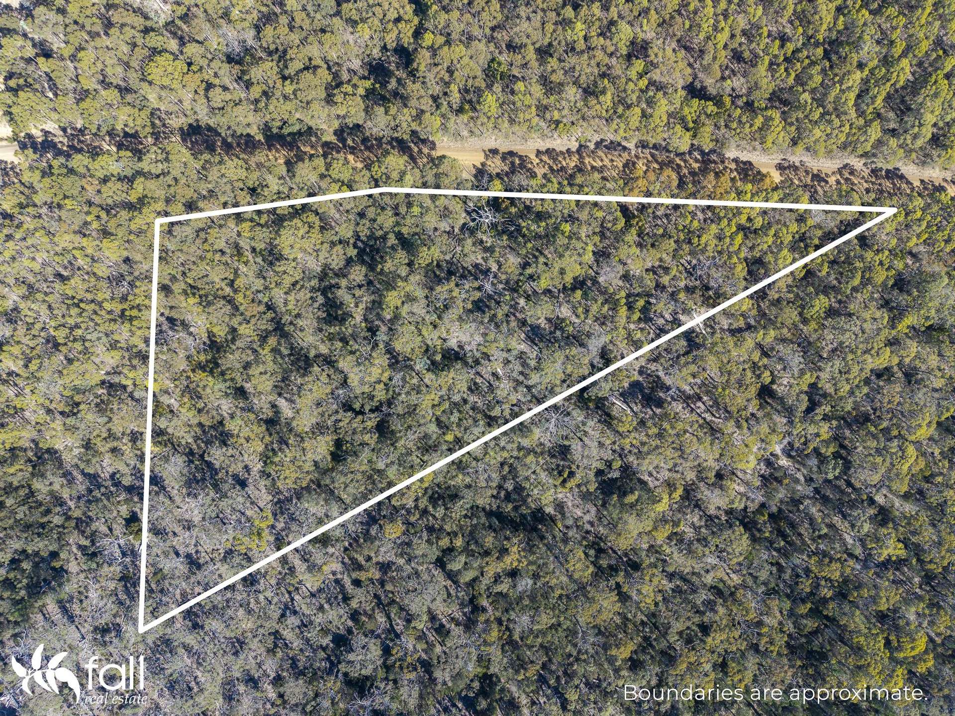 2476 Wielangta Road, Orford For Sale by Farmbuy.com - image 23