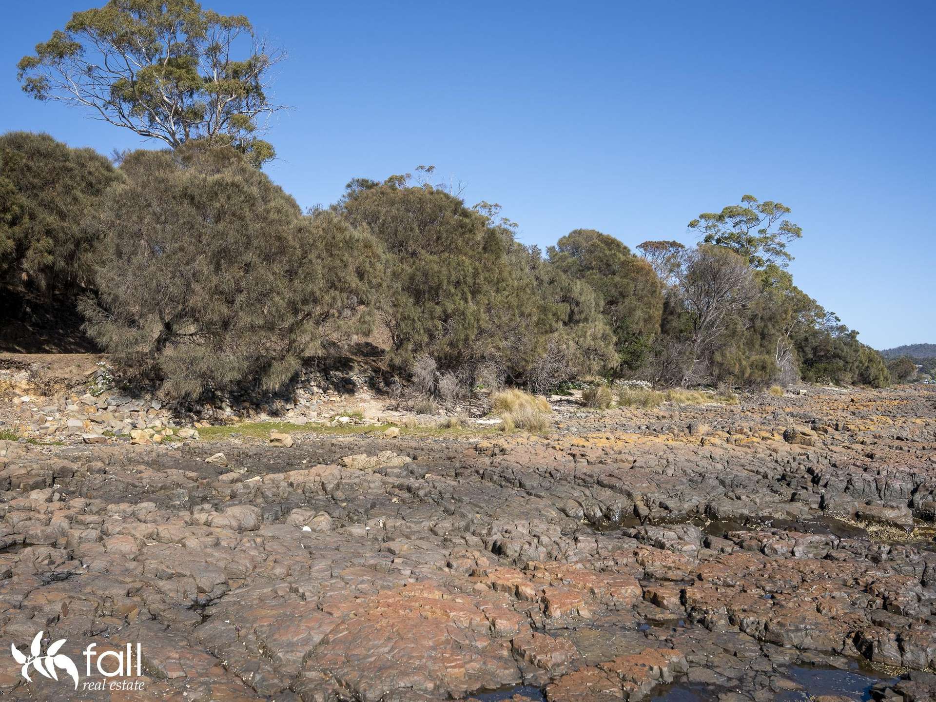 2476 Wielangta Road, Orford For Sale by Farmbuy.com - image 19