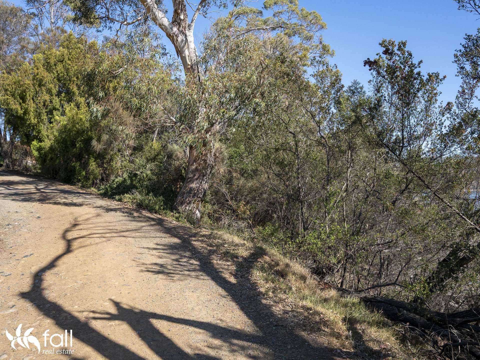 2476 Wielangta Road, Orford For Sale by Farmbuy.com - image 9