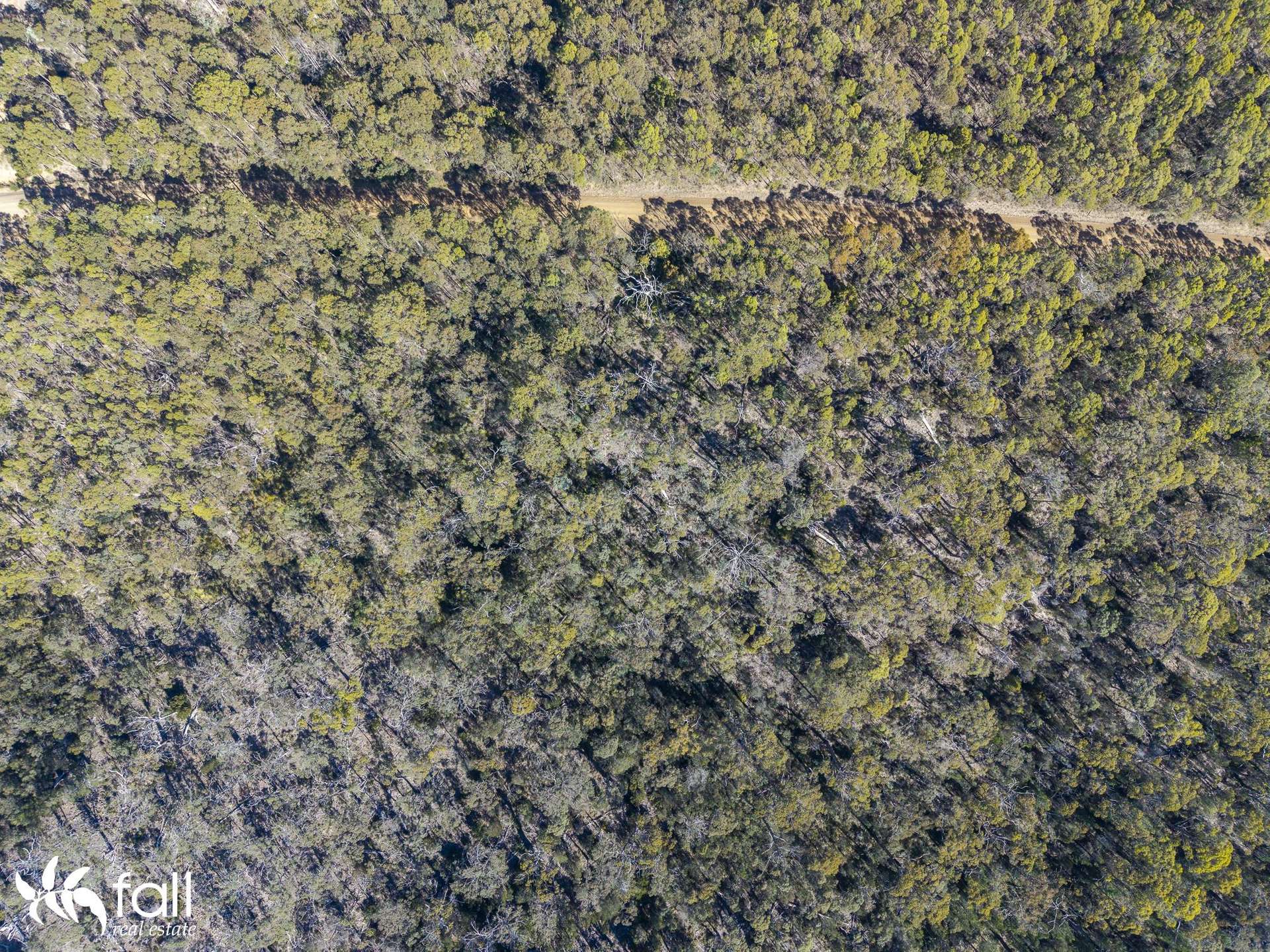 2476 Wielangta Road, Orford For Sale by Farmbuy.com - image 33