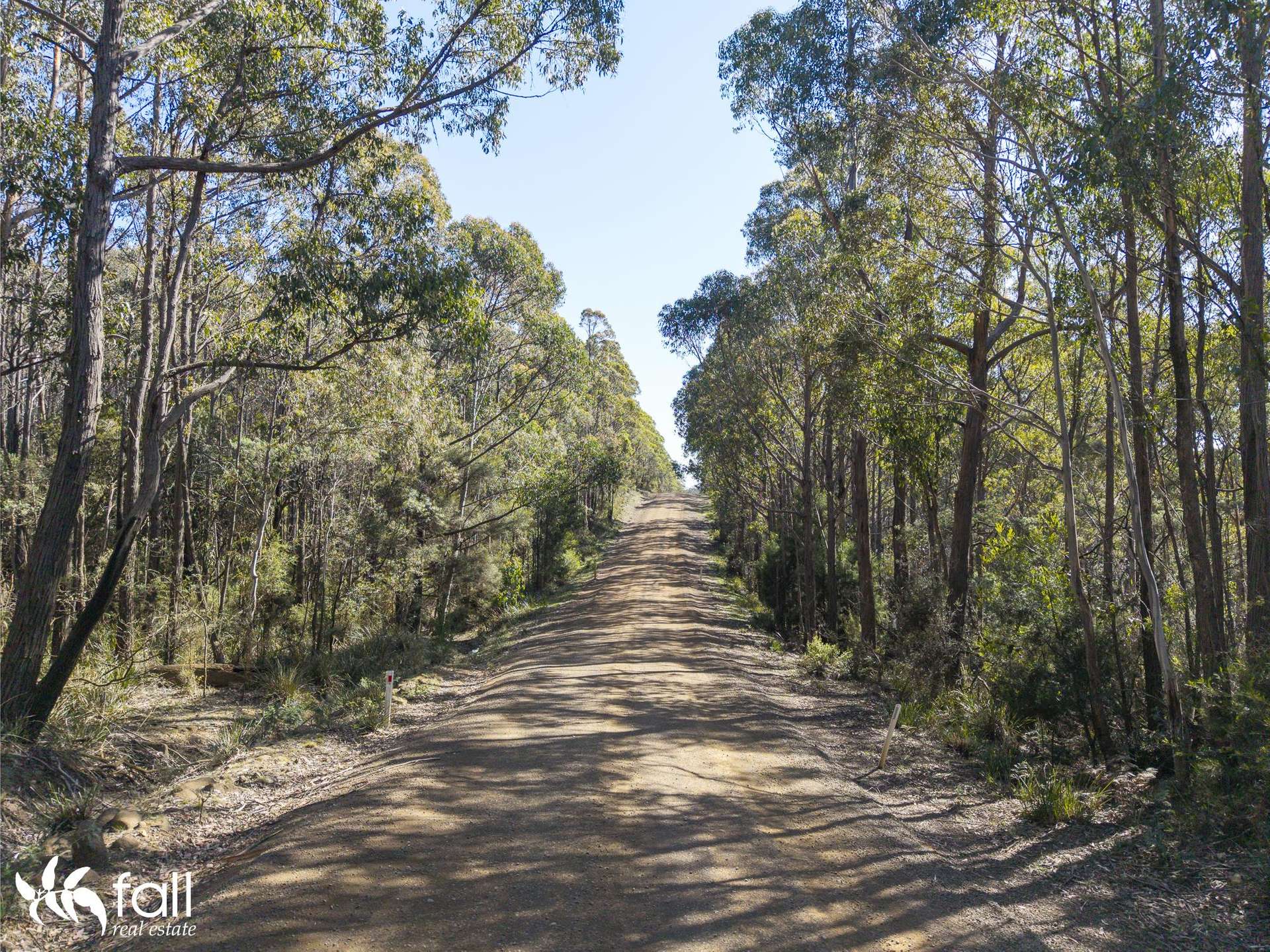 2476 Wielangta Road, Orford For Sale by Farmbuy.com - image 14