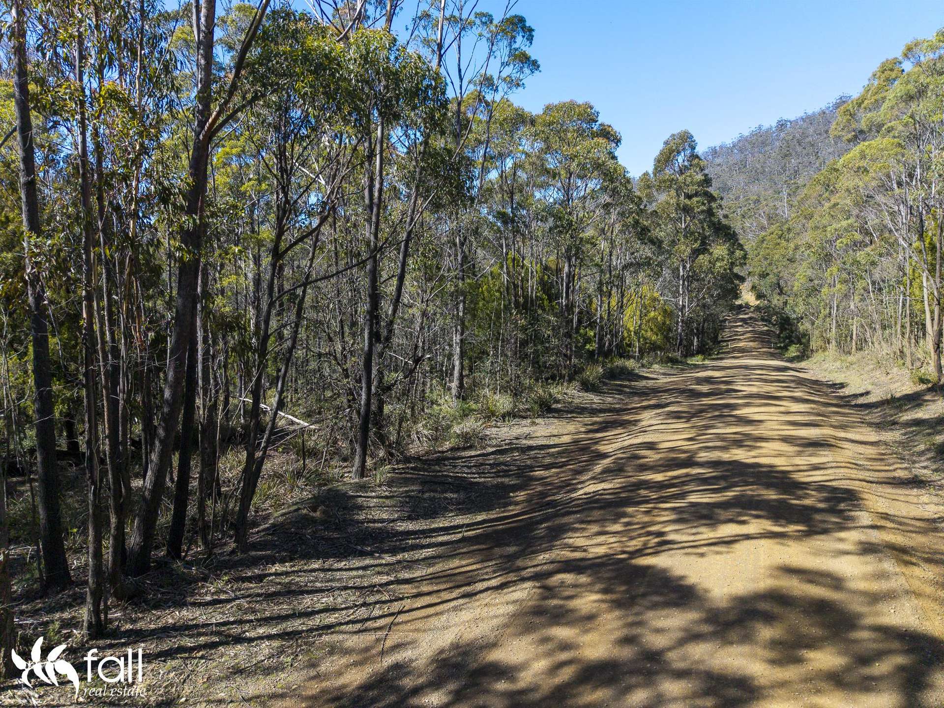 2476 Wielangta Road, Orford For Sale by Farmbuy.com - image 15