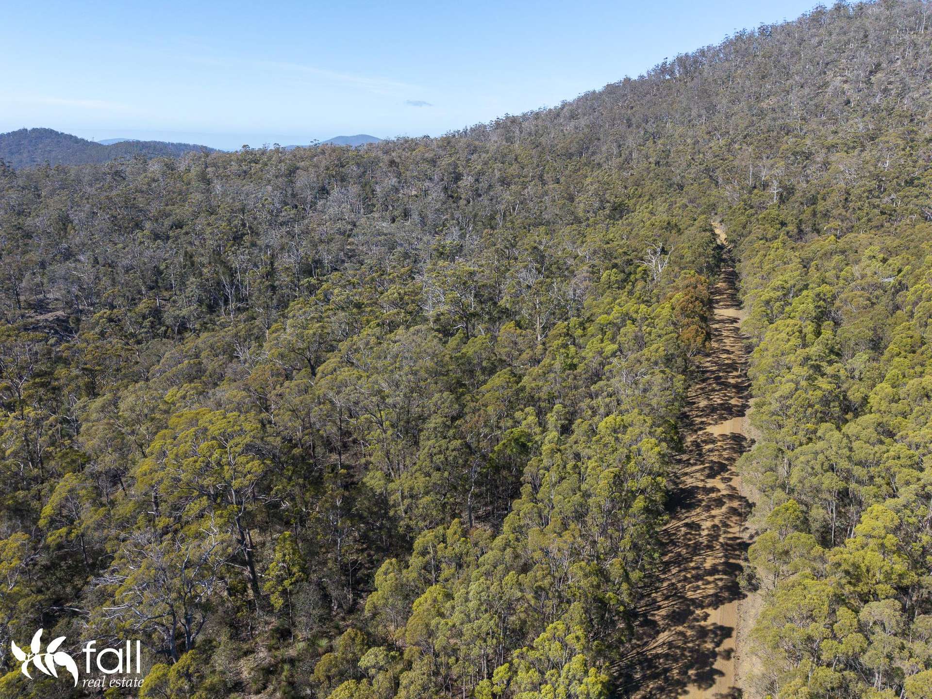 2476 Wielangta Road, Orford For Sale by Farmbuy.com - image 29