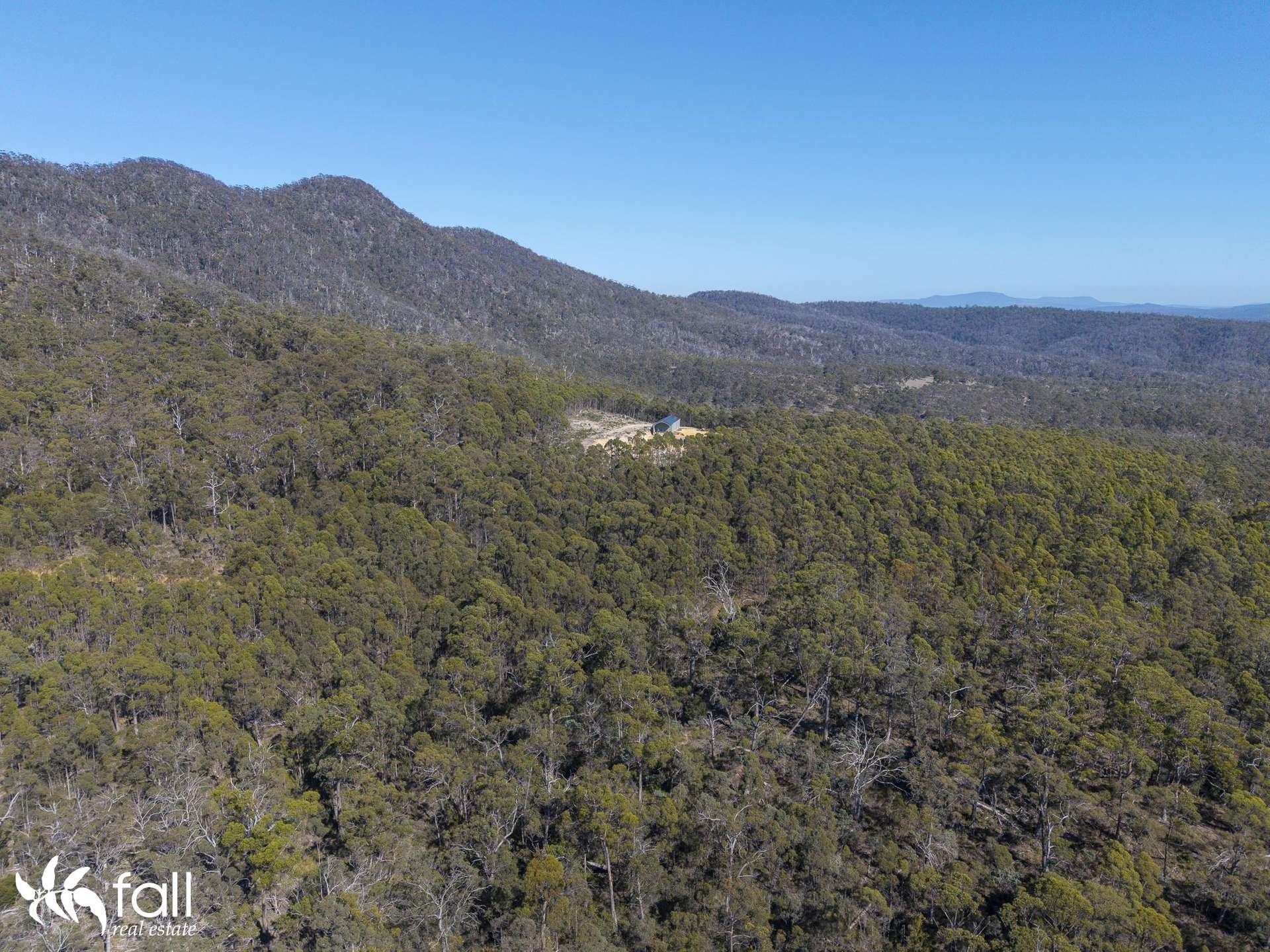 2476 Wielangta Road, Orford For Sale by Farmbuy.com - image 28